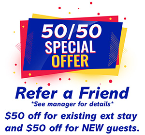 50 50 Special Offer web